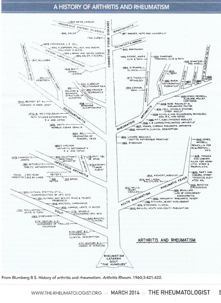 History tree rheumatology